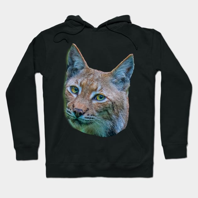 Eurasian Lynx Hoodie by dalyndigaital2@gmail.com